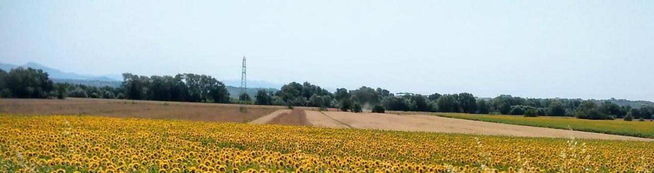 Splendido Ampio Appartamento A Montepulciano Stazione Eksteriør billede