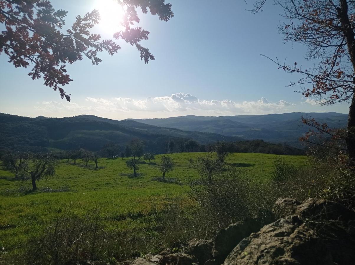 Splendido Ampio Appartamento A Montepulciano Stazione Eksteriør billede