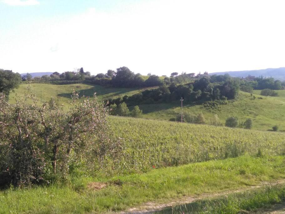 Splendido Ampio Appartamento A Montepulciano Stazione Eksteriør billede