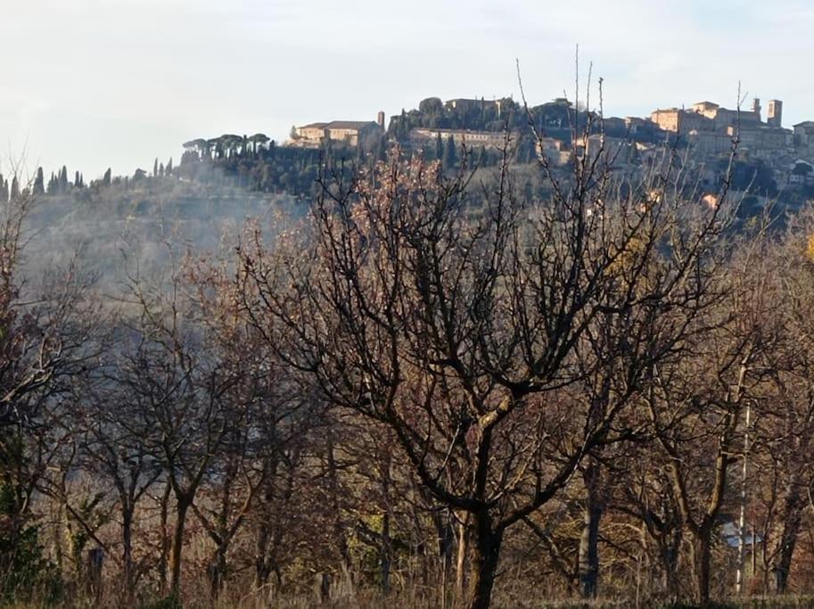 Splendido Ampio Appartamento A Montepulciano Stazione Eksteriør billede