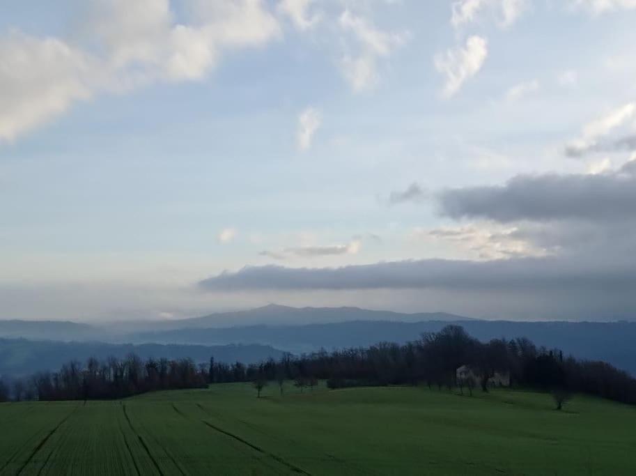 Splendido Ampio Appartamento A Montepulciano Stazione Eksteriør billede