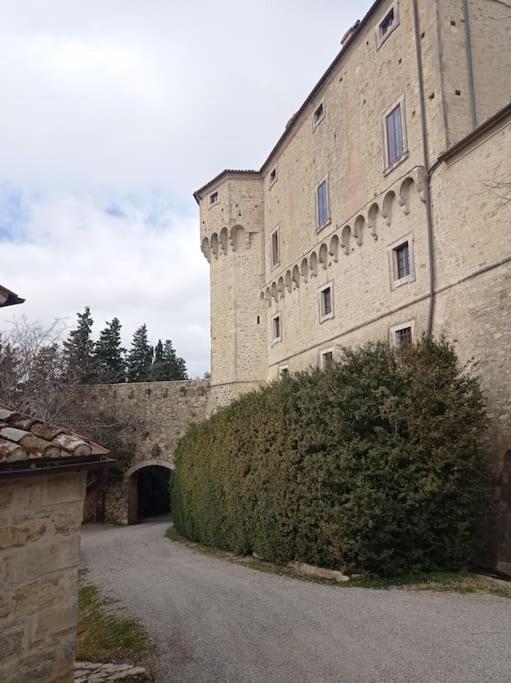 Splendido Ampio Appartamento A Montepulciano Stazione Eksteriør billede